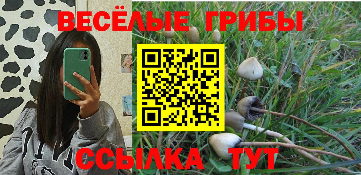 Псилоцибиновые грибы Cubensis Калуга