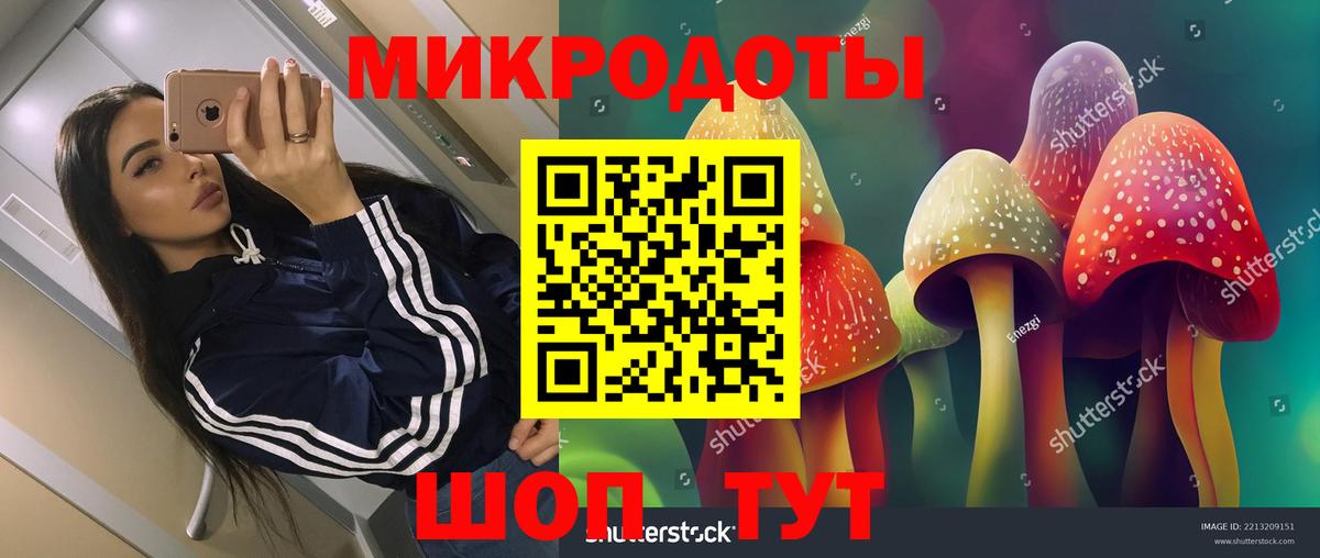 Псилоцибиновые грибы прущие грибы  сколько стоит  Калуга  Вход с VPN 